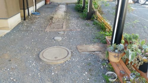 20190920_140858_resized