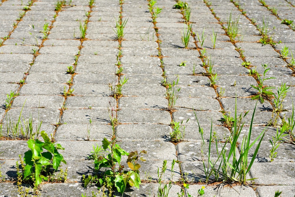 SSUCv3H4sIAAAAAAAEAH1Ry27DIBC8V+o/WJxjyeRhN/mHqh8Q9bAsm5iGQMSjVRTl3wt2aDlUvbEzzOzO7u35qWmYAK+Q7ZpbrlKttI4+OAjKmgR3iwfuyEhyNUJSBesU6BoUEHA0cKYEmqh1hu8TyXyAED353OwBIQQ6Jo8Z/LGYJ9rPdVOIiUyKRLE38UEYPFtUlI8iU6/KI2kNhmz0rPD3xT9uf9n8KufHe0kIRzJ4nUJU4Rxpgjncfv7KTl+B3LmOC1EqWyX9tAg6f1hVThenUJljJbNhnDZfZGijCS6PwDjvy/BMW3sBofPmD8mWCj6C90khC171wnRqe65aGRumDI+VMJkONPVZLbt+1fNhu+2W3fDCB1aOavGkZJ1yvvOoEuWuFa7yBExK2WMvRduL7dCu1xveCjxQ26+R4wY4LPGQdn//BvYNdmKeAgAA